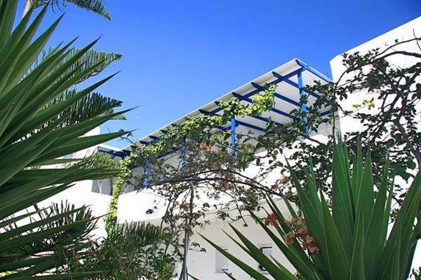 Loukia Apartments & Studios เนาซา ภายนอก รูปภาพ
